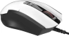 2076547_v02_s.webp