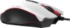 2076749_v02_s.webp