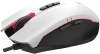 2076749_v05_s.webp