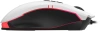 2076749_v06_s.webp