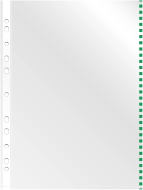 Папка-вкладыш Silwerhof Daily SD-EDGE/GRN глянцевые A4+ полипропилен 30мкм зеленый край (упак.:50шт)