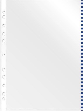 Папка-вкладыш Silwerhof Daily SD-EDGE/BLU глянцевые A4+ полипропилен 30мкм синий край (упак.:50шт)