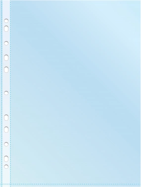 Папка-вкладыш Silwerhof Daily SD-CL ассорти глянцевые A4+ полипропилен 30мкм (упак.:50шт)