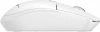 2076823_v07_s.webp