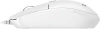 2076982_v02_s.webp