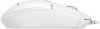 2076982_v03_s.webp