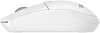 2076984_v02_s.webp