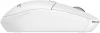 2076984_v03_s.webp