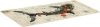 2077143_v02_s.webp