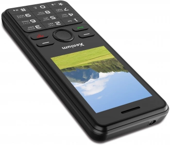 Мобильный телефон Xenium X280