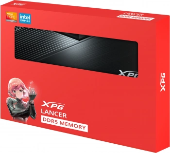 Память DDR5 2x16GB 6000MHz A-Data  AX5U6000C3016G-DCLABK