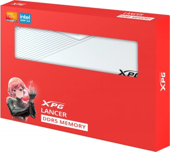 Память DDR5 2x16GB 6400MHz A-Data  AX5U6400C3216G-DCLAWH