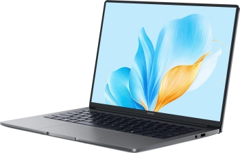 Ноутбук Honor MagicBook  X14 FRG-X