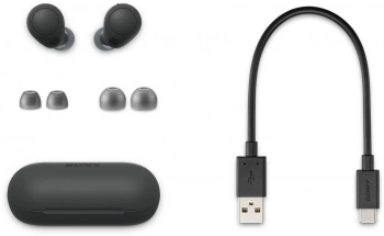 Гарнитура внутриканальные Sony WF-C700N