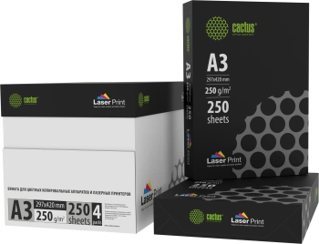 Бумага Cactus CS-LPA3250250