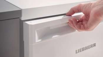 Холодильник Liebherr Re 1201