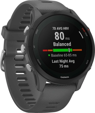 Смарт-часы Garmin Forerunner 255