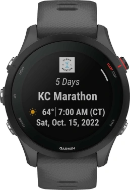 Смарт-часы Garmin Forerunner 255