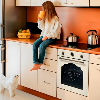 Духовой шкаф Электрический Oasis D-MTR