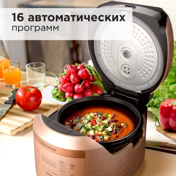 Мультиварка Редмонд RMC-450