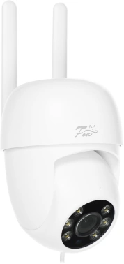 Камера видеонаблюдения IP Fox  FX-C4SL Сипуха