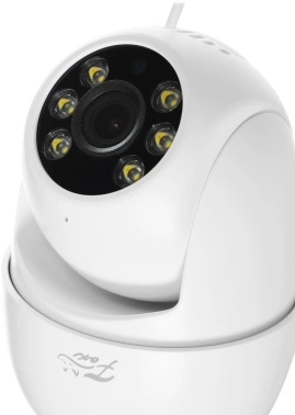 Камера видеонаблюдения IP Fox  FX-C4SL Сипуха