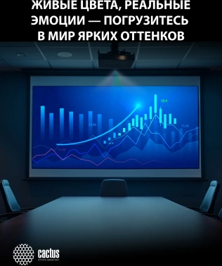 Проектор Cactus Bright CS-S4.B