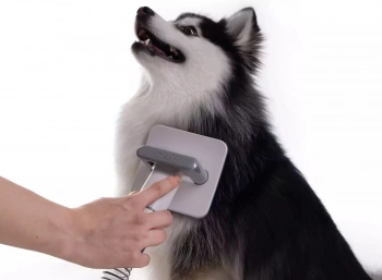 Пылесос Haier PetPure M Pro