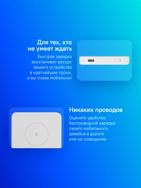 Мобильный аккумулятор Xiaomi  BHR9303GL