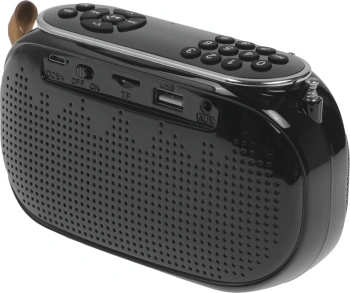 Радиоприемник портативный Ritmix RPR-008