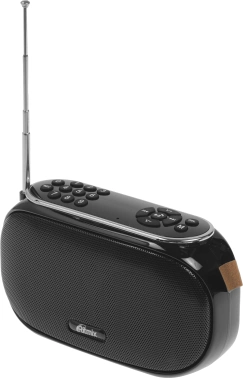 Радиоприемник портативный Ritmix RPR-008