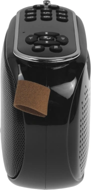 Радиоприемник портативный Ritmix RPR-008