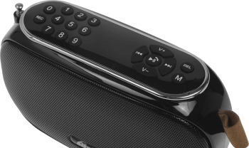 Радиоприемник портативный Ritmix RPR-008