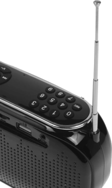 Радиоприемник портативный Ritmix RPR-008