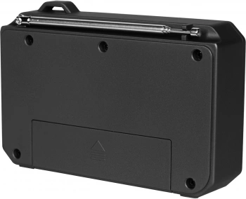 Радиоприемник портативный Ritmix RPR-010