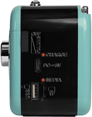 Радиоприемник портативный Ritmix RPR-033