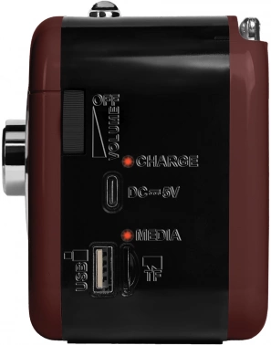 Радиоприемник портативный Ritmix RPR-033