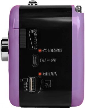 Радиоприемник портативный Ritmix RPR-033