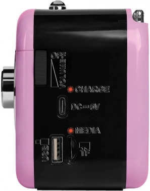 Радиоприемник портативный Ritmix RPR-033