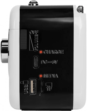 Радиоприемник портативный Ritmix RPR-033