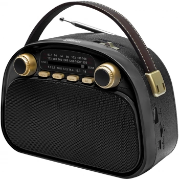 Радиоприемник портативный Ritmix RPR-040