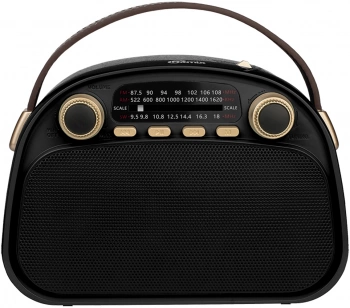 Радиоприемник портативный Ritmix RPR-040