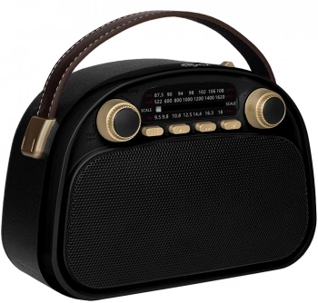 Радиоприемник портативный Ritmix RPR-040