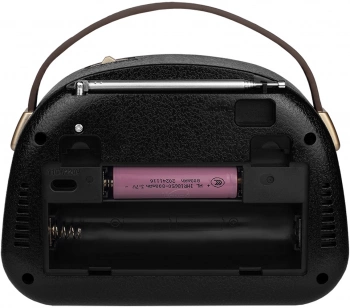 Радиоприемник портативный Ritmix RPR-040