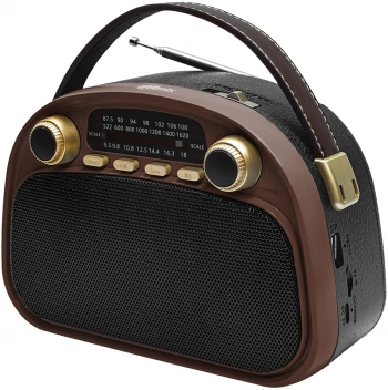 Радиоприемник портативный Ritmix RPR-040