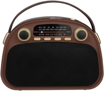 Радиоприемник портативный Ritmix RPR-040