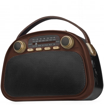 Радиоприемник портативный Ritmix RPR-040