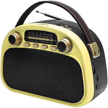 Радиоприемник портативный Ritmix RPR-040