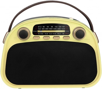 Радиоприемник портативный Ritmix RPR-040