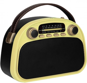 Радиоприемник портативный Ritmix RPR-040